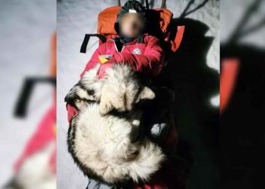 Perro salva la vida de excursionista que cayó de una montaña