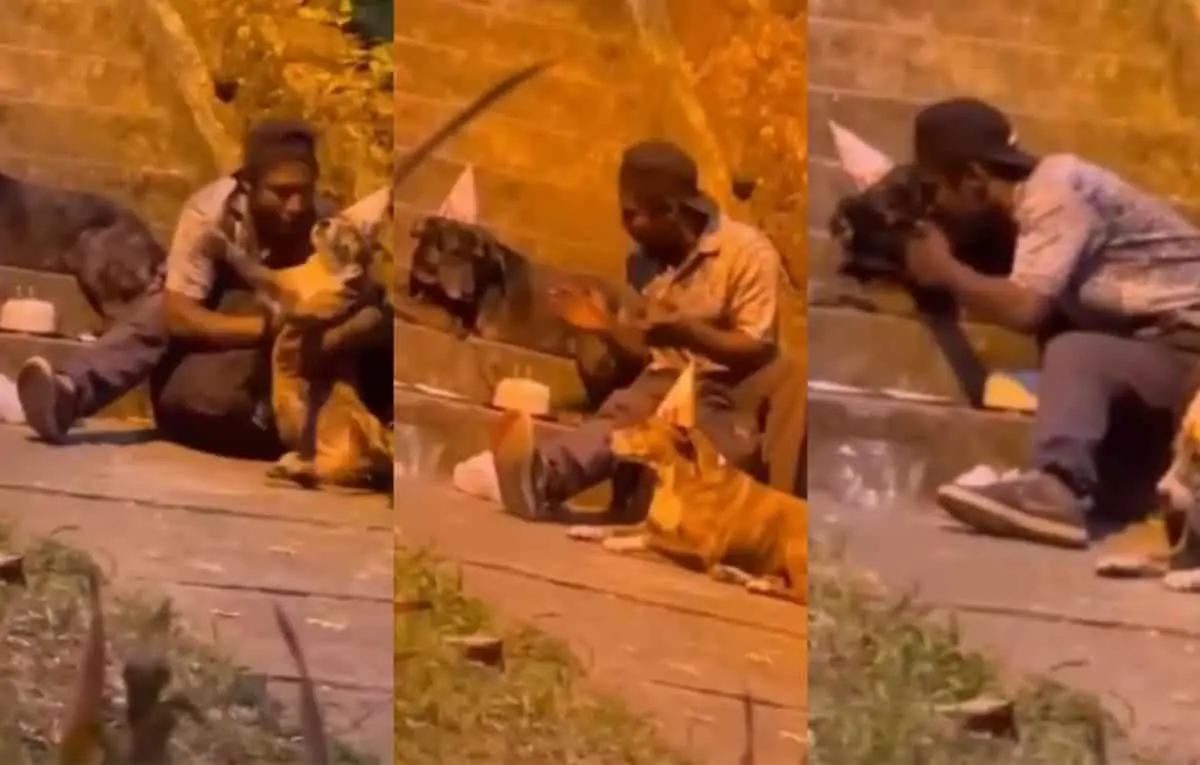 Hombre en situación de calle celebra cumpleaños de sus perros