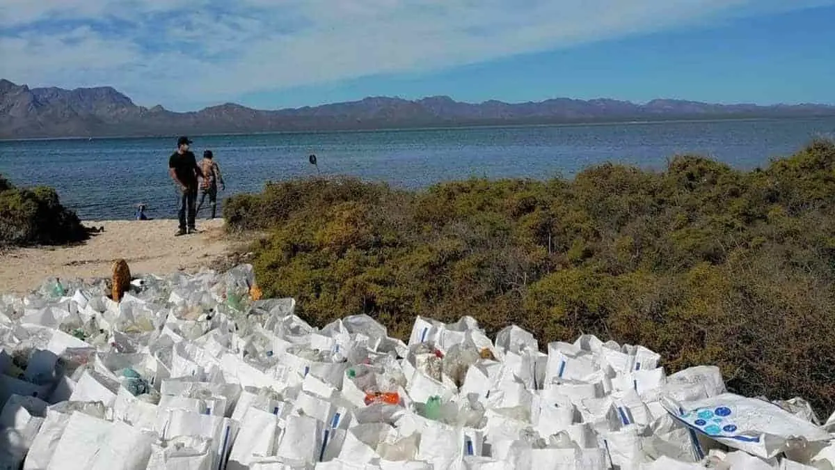 Realizan actividades por el medio ambiente