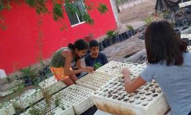 Promueven cultura ecológica en niños