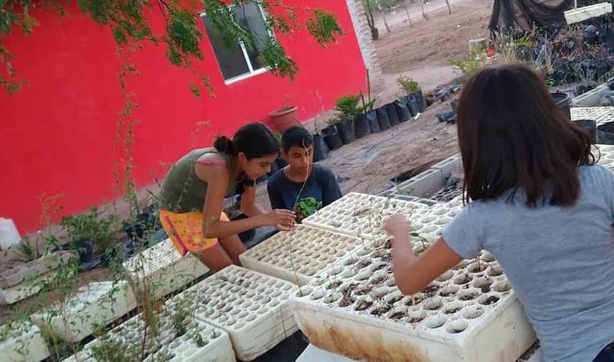 Promueven cultura ecológica en niños