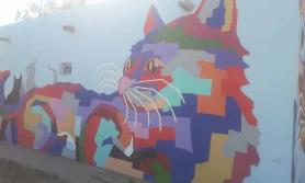 Vivirán gatos por siempre en los muros de la Laguna