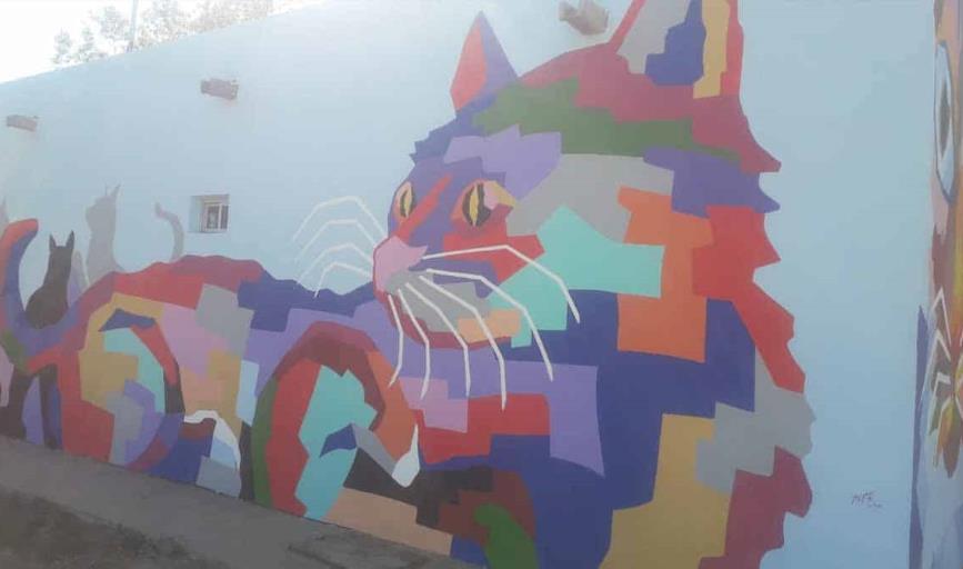 Vivirán gatos por siempre en los muros de la Laguna