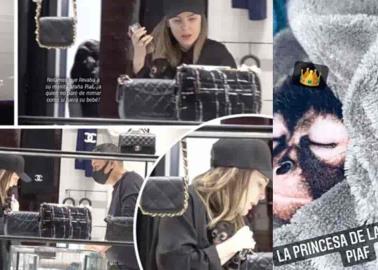 Belinda gasta 90 mil pesos en un collar Chanel para su mascota