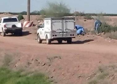 Localizan a mujer asesinada en Bácum