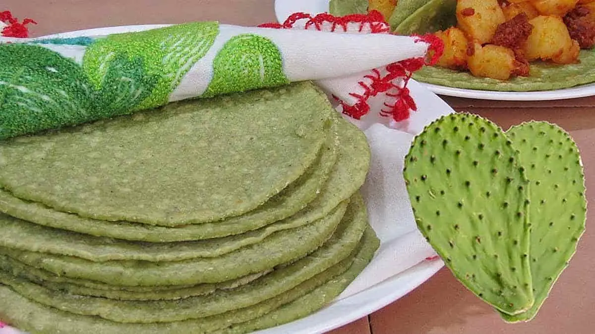 Emprendedores buscan producir harina de nopal
