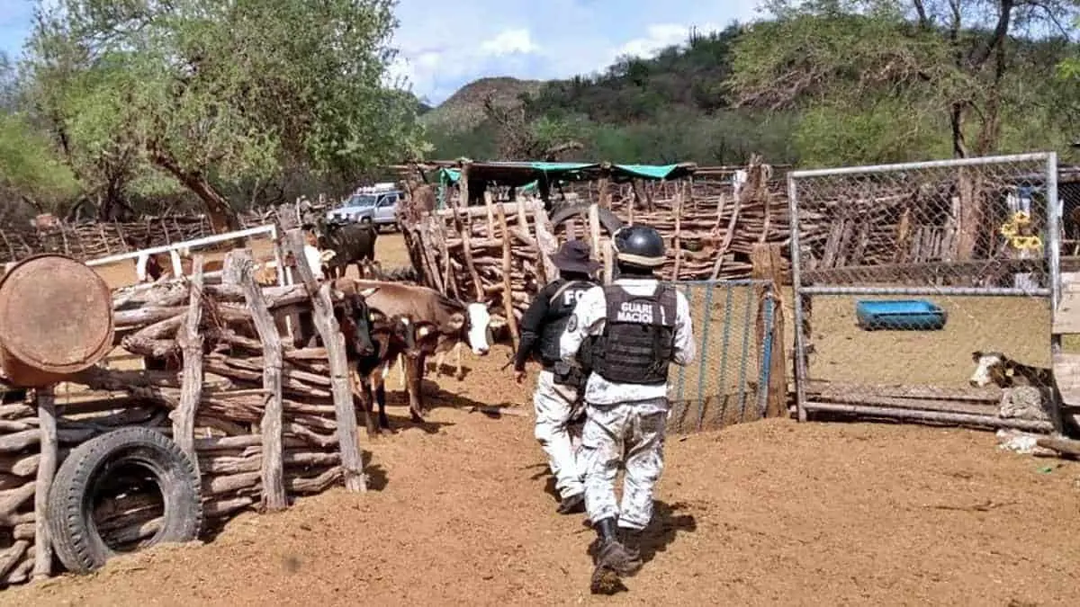 Creen saber el paradero de yaquis desaparecidos