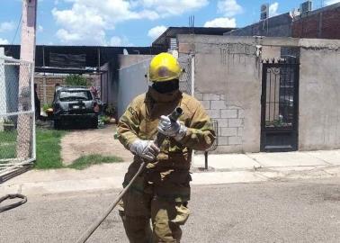 Labor de Bomberos ha evolucionado por violencia