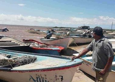 Se agrava la crisis pesquera en el sur de Sonora