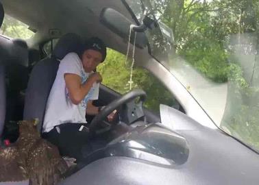 VIDEO. Águila herida cae en auto de youtuber mientras graba video