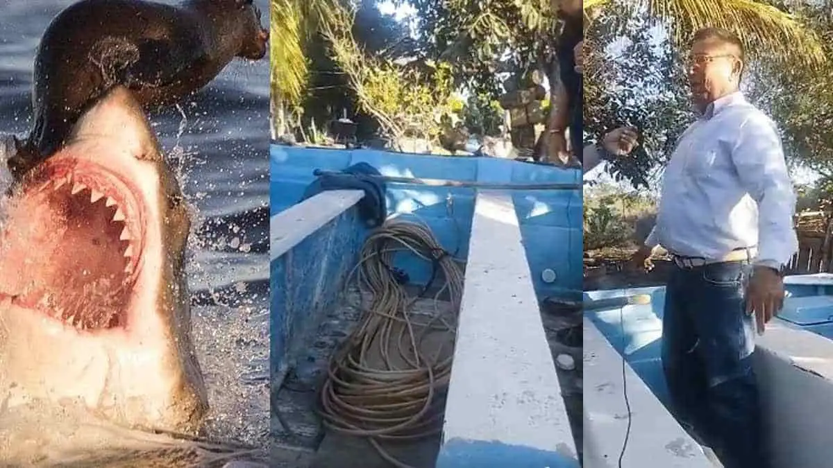 Sentí un jalón muy fuerte: el terror acecha bajo el agua