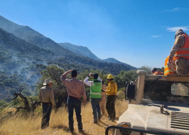 Extinguen incendio forestal de la sierra alta de Aconchi