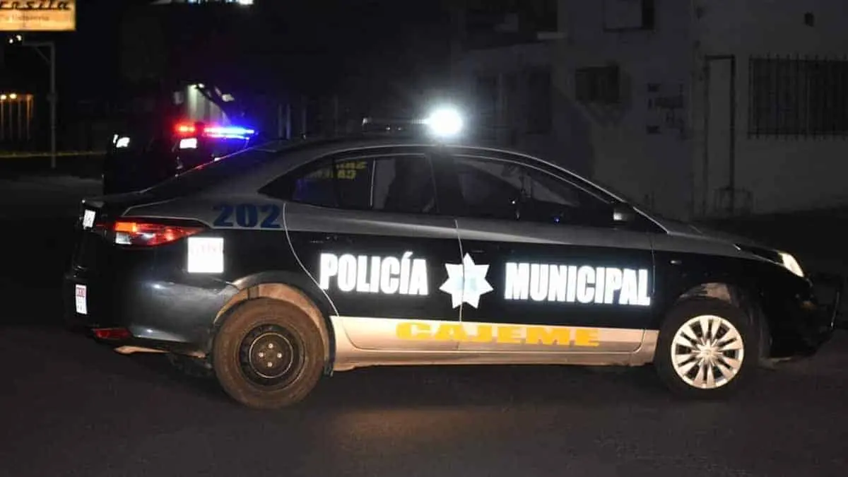 Al "bote" por amenazar a su pareja con un arma