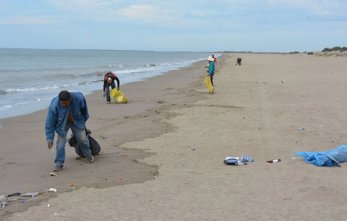 Limpian playas de Huatabampo