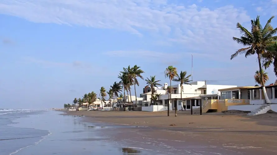 Alertarán por tiburones