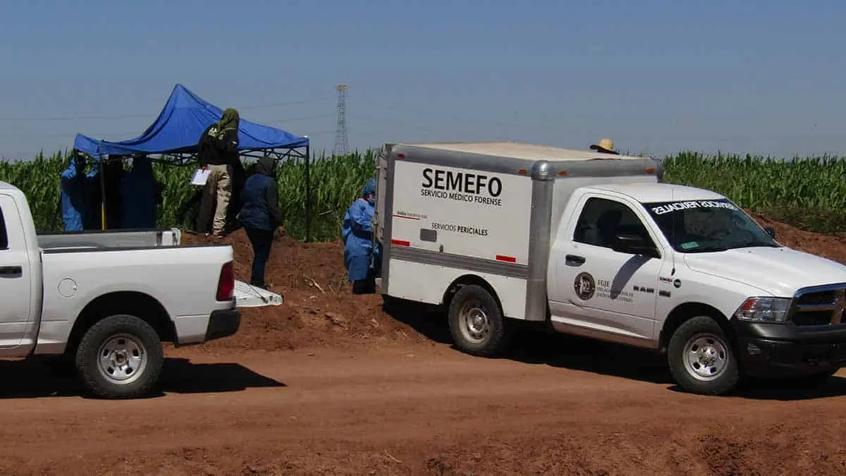 Video. Siembran cuerpos