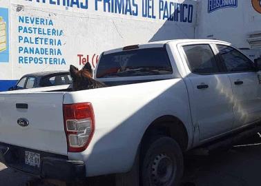 Asaltan empresa y se llevan 70 mil pesos en efectivo