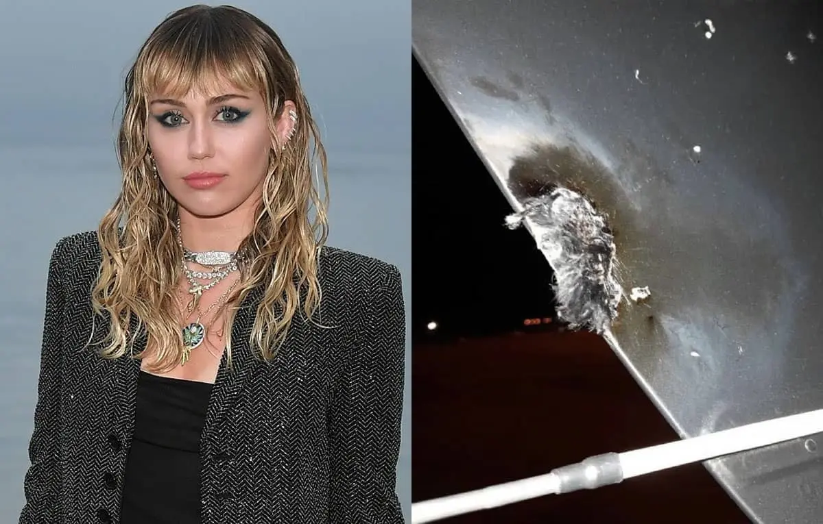 Avión de Miley Cyrus aterriza de emergencia tras impacto de rayo
