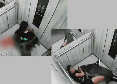 VIDEO. Pitbull ataca brutalmente a una mujer en un elevador