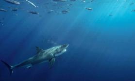 Llegan los efectos del cambio climático a Huatabampo