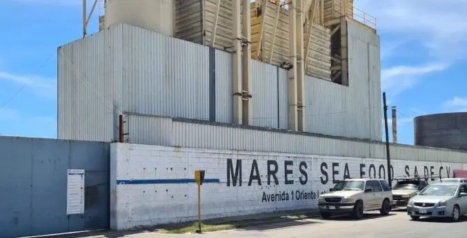 Caen a bodega de barco sardinero y mueren