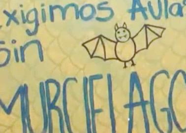 Murciélagos toman escuela y autoridades dan largas al caso