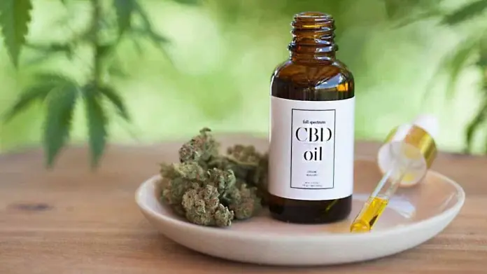 Mayos buscan sembrar mariguana para fines medicinales Mayos buscan sembrar mariguana para fines medicinales