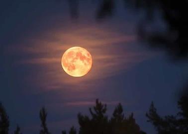 Este sábado podrá apreciar la hermosa Luna Rosa