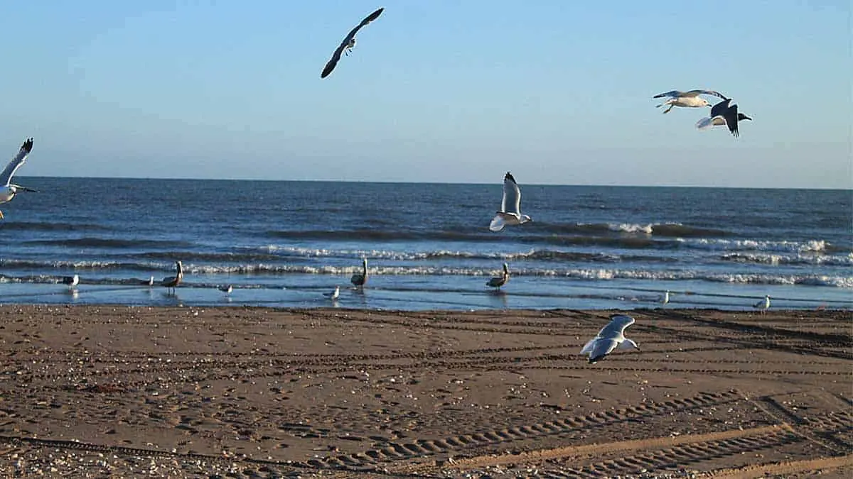 Listas las playas de Bácum y SIRM para las vacaciones