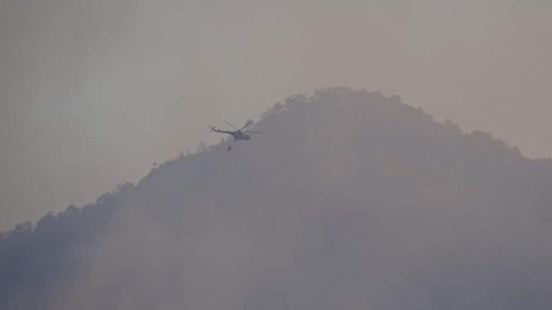 Casi sofocado el incendio en Álamos