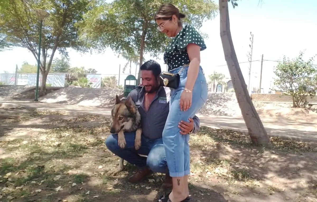 Terry no es un lobo, aclaran dueños del perro