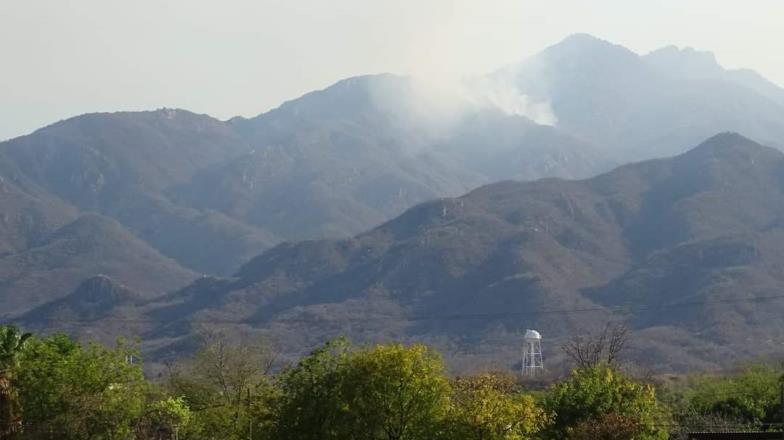 Casi sofocado el incendio en Álamos