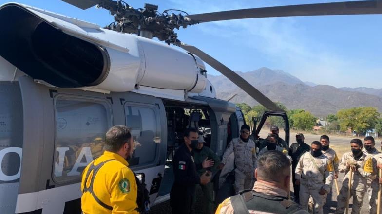 Casi sofocado el incendio en Álamos