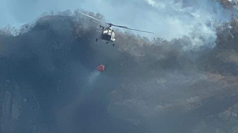 Casi sofocado el incendio en Álamos