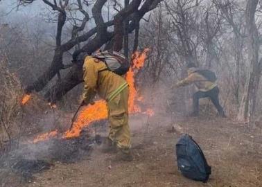 Revela Conafor saldo de incendio