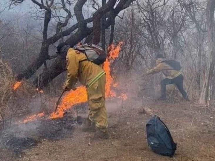 Revela Conafor saldo de incendio Revela Conafor saldo de incendio