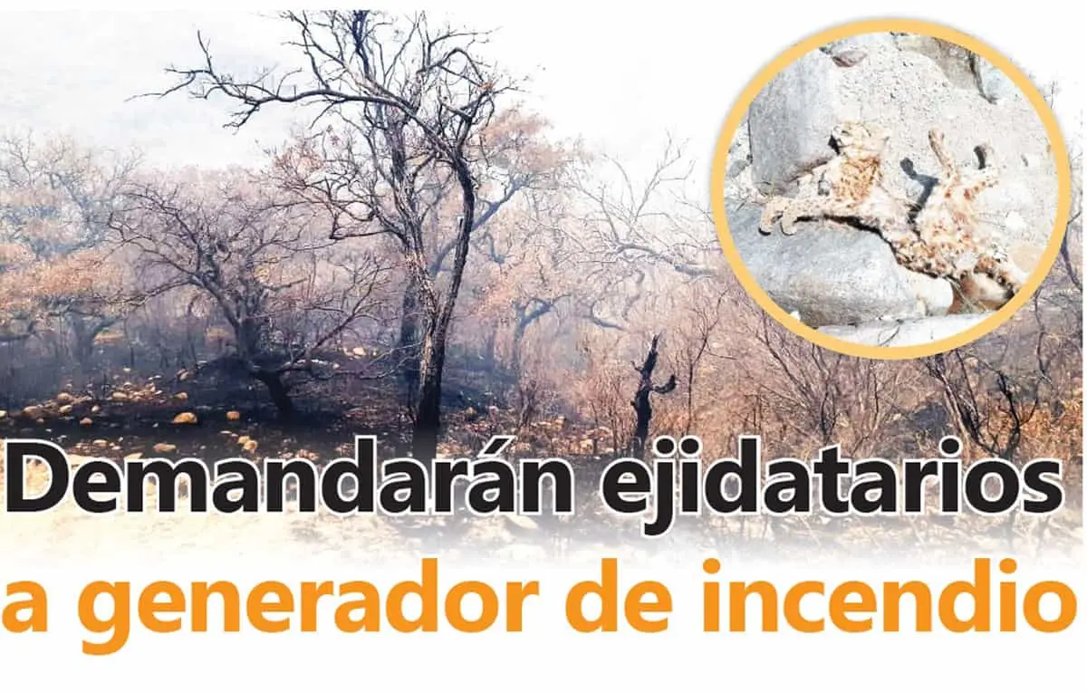 Demandarán ejidatarios a generador de incendio