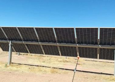 Pide Bacabachi más trabajo en el Paque Fotovoltaico