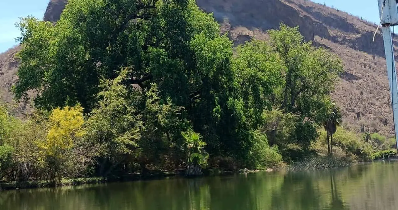 Río Yaqui: Paraíso