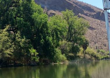 Río Yaqui: Paraíso