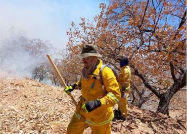 Bomberos tendrá brigada para incendios forestales