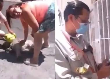 VIDEO. Empleado de CFE mata a sangre fría a perrita por ladrarle