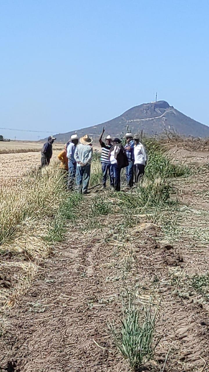 Denuncian Yoremes Mayos despojo de terrenos