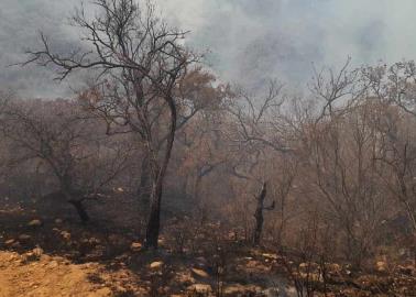 Buscan a los iniciadores del incendio en Álamos