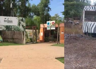 Pretenden reforestar la zona del zoológico