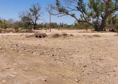 Río Mayo, desolado por altas temperaturas