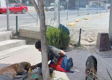 Indigente pide limosna, pero no para droga, sino para sus perros