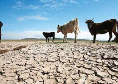 Ranchos, sin agua