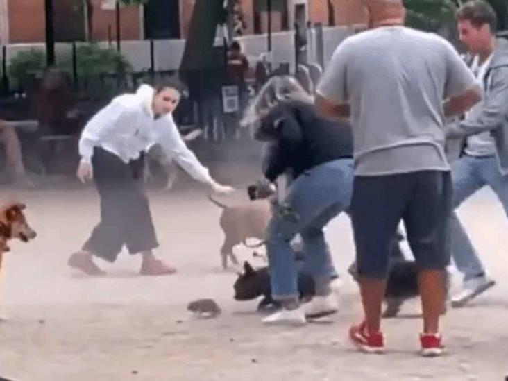 VIDEO: Rata arma tremendo caos entre perros en un parque VIDEO: Rata arma tremendo caos entre perros en un parque