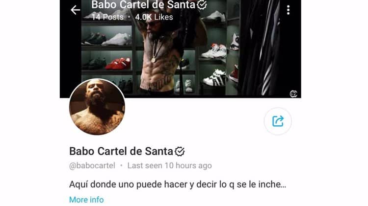 Diario del Yaqui - “Babo”, de Cártel de Santa, en los primeros lugares de  OnlyFans